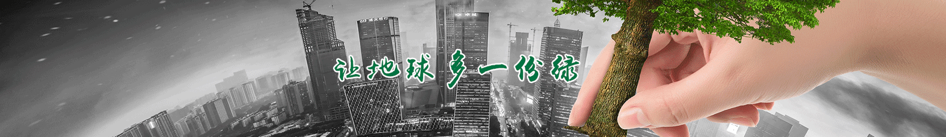 圖片展示